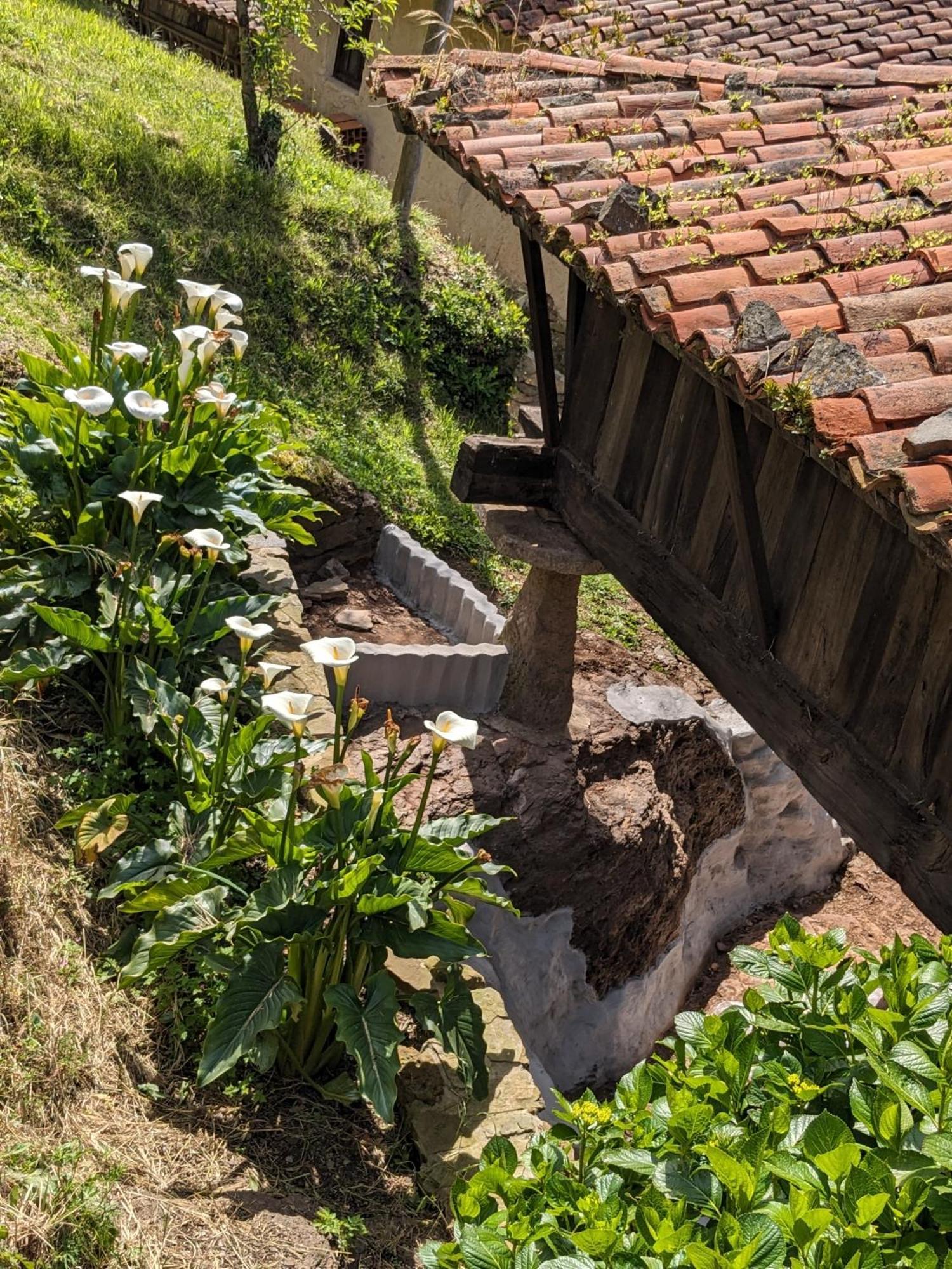Las Casas De Isu Villaviciosa  Exteriér fotografie